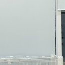 뽀송뽀송애견놀이방 이미지