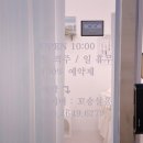 꼬숑 살롱