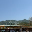 11650-17-181-4 | 서울랜드 연휴 후기, 대기 3시간 실화? 주차부터 루나패스까지 현실 리뷰