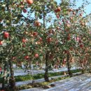 부림농장 이미지