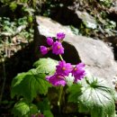 초원펜션 이미지