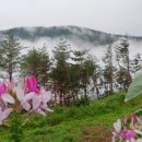 700고지 Daum카페