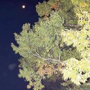 선암축사 이미지