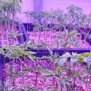 이병학농장 이미지