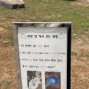 개량목장 | 홍천 "하양목장" 아이와 애견동반 내돈내산 찐후기