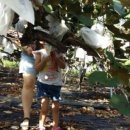 도도1농장 이미지