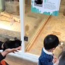 동탄기흥로247번길~동탄산단7,5,1,2길 | 19개월 아기 데리고 동탄 쥬라리움 다녀온 날 🐾 생각보다 좋았던 이유