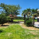 알마레월정 이미지