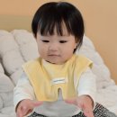 [육아용품] 턱받이 추천, 럴러바이 모먼츠 오가닉 세일러 테리빕 사용후기