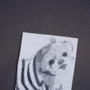 강아지나라 이미지