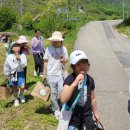 부귀초등학교 이미지