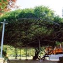 종로-종로-종로-종-255 이미지