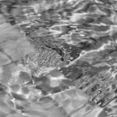 한국지엠시지바로서비스 이미지