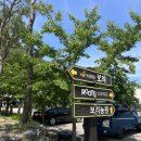 풍일로(일직면) 이미지