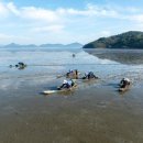 (주)누리마트 정책브리핑