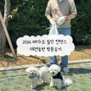 2026 메가주 일산 킨텍스 애견동반 방문후기