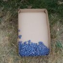 유픽(U-PICK) 이미지