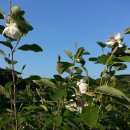 동곡농장 이미지