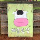중뜰목장 네이버블로그