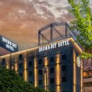 브라운 도트 이미지