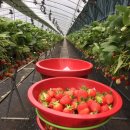 순이농장 이미지