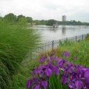 하이드파크 이미지