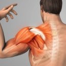 이동한의원 이미지