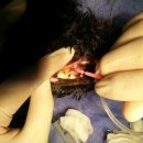 해비치동물병원 이미지