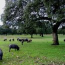 상수리PC 이미지