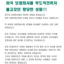 미국 보험회사를 부도직전까지 몰고갔던 황당한 상품 이미지