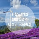 전진산업 | 거창 감악산 별바람언덕 아스타 국화축제 방문후기 :: 실시간 개화상황 위치 행사정보 주차장 인생샷 꿀팁