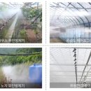 진원농장 이미지