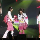 성황남성 이미지