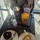 와이엠 | [기저귀가방] 내돈내산 와이엠마마 더블빅윰백, 백팩 솔직 사용후기