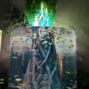 대전아쿠아리움 | 대전 엑스포 아쿠아리움 후기, 아기랑 갈만한 곳!