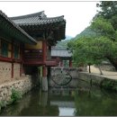 순천-59호 이미지