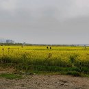 강서체육공원 이미지