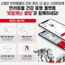 로얄케어클럽 이미지