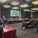 새하마노 이미지