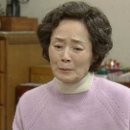 김영애