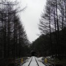 구절리역 이미지