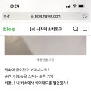 애플펜슬 수리 서치하다 봣는데 애플 개별루다 이미지