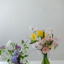 스튜디오모앙 이미지