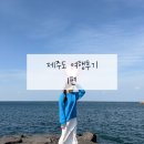 신창바다장어 | 제주도 여행 후기/제주도 가볼만한곳/제주도 맛집/제주도 서쪽 코스/제주도 동쪽 코스