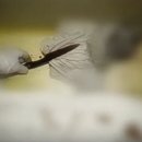 초원장여관 이미지