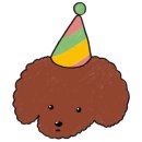 나나애견미용 이미지