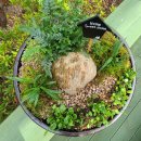 미니정원 이미지