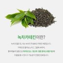 에이스바디 이미지