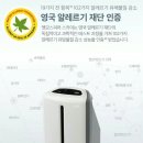 스카이엔젤 이미지