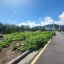 새서귀초등학교 이미지